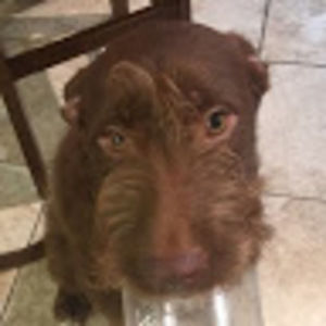 Meet your Posher, Tammy